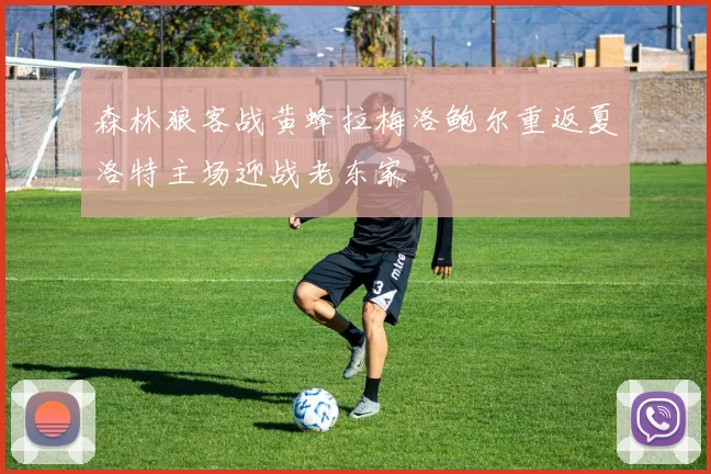 森林狼客战黄蜂拉梅洛鲍尔重返夏洛特主场迎战老东家