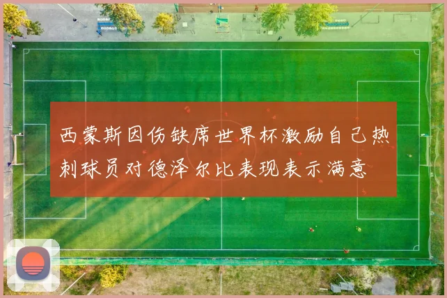 西蒙斯因伤缺席世界杯激励自己热刺球员对德泽尔比表现表示满意